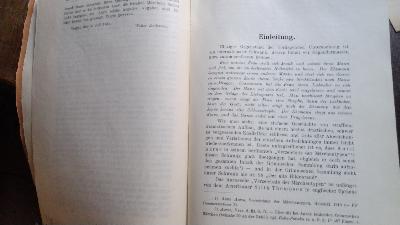 Der Schwank vom alten Hildebrand  Eine vergleichende Studie - Front Cover