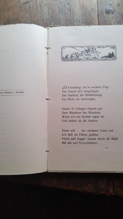 Ein Rundgang durch die Salzachstadt  in Reimen ernst und heiter mit Bildern fast auf jedem Blatt, 'nem Plänchen u.s.w.  - Front Cover