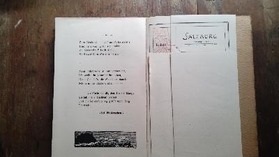 Ein Rundgang durch die Salzachstadt  in Reimen ernst und heiter mit Bildern fast auf jedem Blatt, 'nem Plänchen u.s.w.  - Front Cover