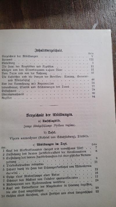Amphibien und Reptilien  I  Körperbau und Lebensweise II  Anpassung der Organe an die Lebensweise - Front Cover