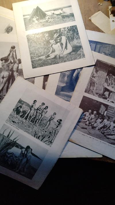 Licht - Land  Blätter für Freikörperkultur und Lebenserneuerung - Front Cover