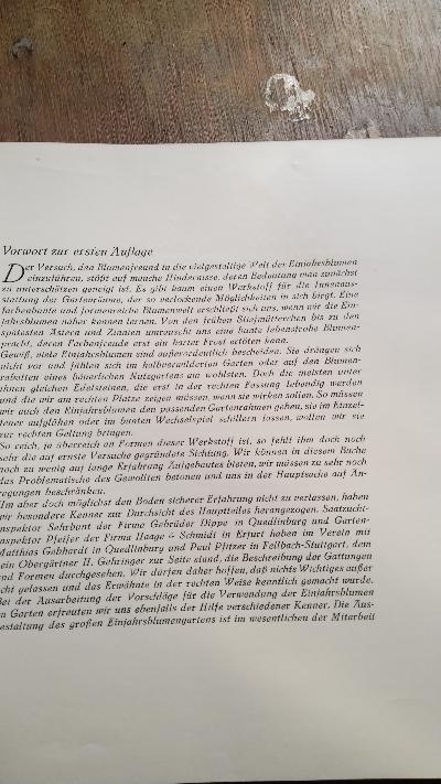 Einjahrsblumen  Beschreibung, Pflanzung, Pflege und Verwendung der einjährig im Freien zu ziehenden Blütengewächse - Front Cover