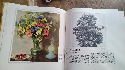 Einjahrsblumen  Beschreibung, Pflanzung, Pflege und Verwendung der einjährig im Freien zu ziehenden Blütengewächse - Front Cover