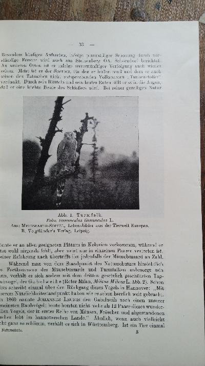 Veröffentlichungen der staatlichen Stelle für Naturschutz beim Württ. Landesamt für Denkmalpflege Heft 2 - Front Cover