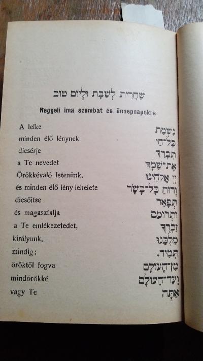 Bibliai Törtenet   Vallas - Es Szertartastan Szoszerinti Imaforditassal  Nep-, Polgari- es Közepiskolai  Mindket Nembeli Tanulok Szamara - Front Cover
