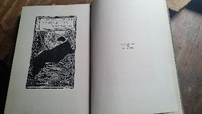 Anthology  Fünfhundert Jahre jüdische Poesie    Anthology:  Five Hundred Years of Yiddish Poetry - Front Cover
