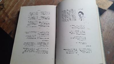 Anthology  Fünfhundert Jahre jüdische Poesie    Anthology:  Five Hundred Years of Yiddish Poetry - Front Cover