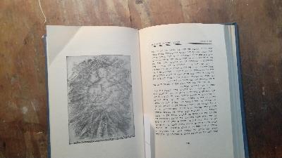 Vunder mayses fun altn Prag (וואונדער מעשות פון אלטען פראג)  Wundermärchen aus dem alten Prag - Front Cover