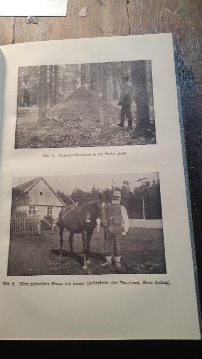 Masuren  Skizzen und Bilder von Land und Leuten - Front Cover