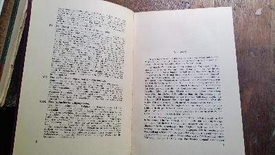 Die tschechischen Legionen in Sibirien - Front Cover