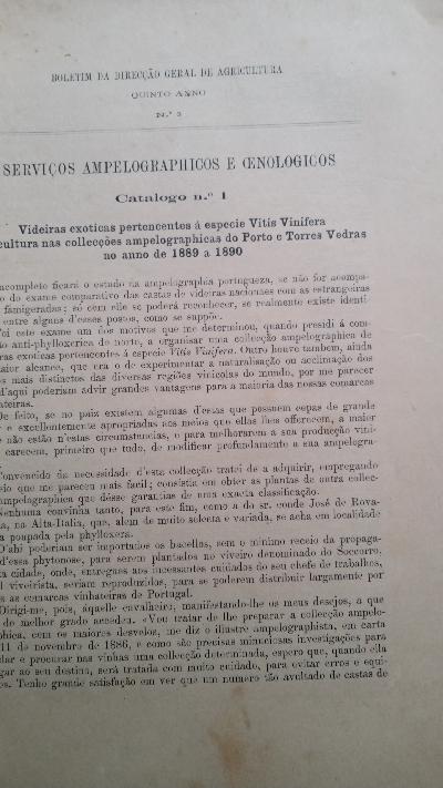 Boletim da Direccao Geral de Agricultura  Quinto Anno  Nr. 3  Serviços Ampelographicos e Oenologicos   Catalogos de Videiras - Front Cover