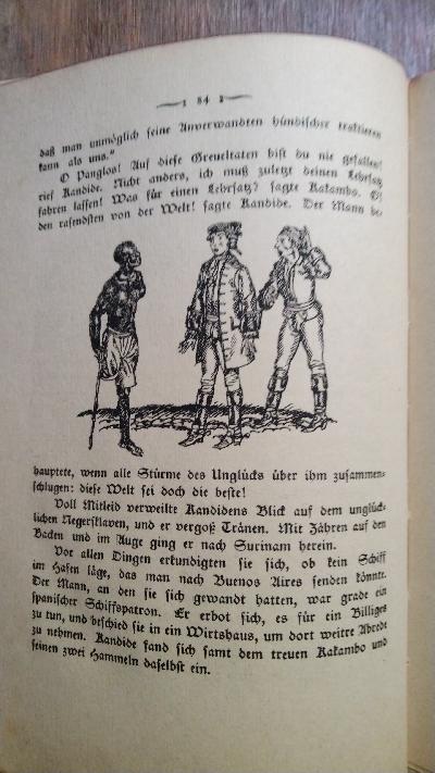 Kandide oder:  Es ist doch die beste Welt! - Front Cover