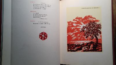Uguns un Nakts  Sena Dziesma  Jaunas Skanas - Front Cover