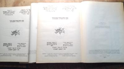 Tora  Nevi im u Khetuvim  mit jiddischer Übersetzung von Yehoash  2 Bände - Front Cover