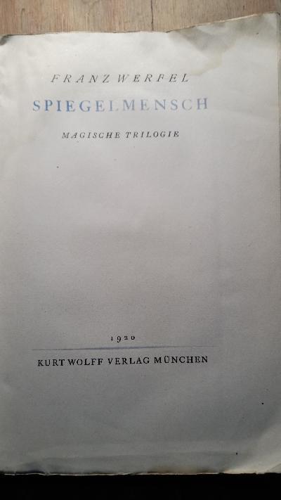 Spiegelmensch  Magische Trilogie - Front Cover