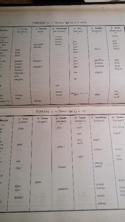 Etude sur la Phonetique Historique du Bantou  (Bibliothèque de l'Ecole des hautes Etudes) - Front Cover