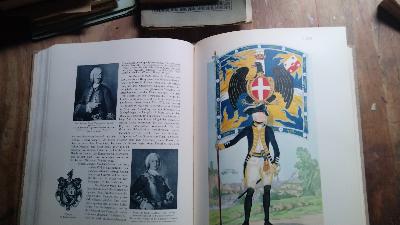 Treue und Ehre  Geschichte der Schweizer in fremden Diensten - Front Cover