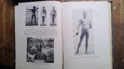 Die Abneigung in der Ehe  Eine Studie über ihre Entstehung und Bekämpfung - Front Cover