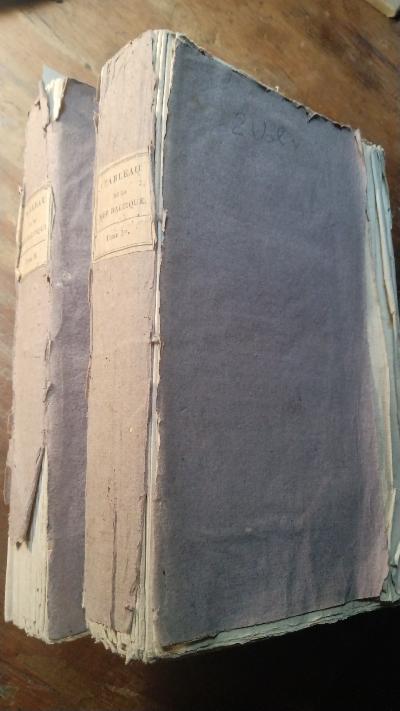 Tableu de la Mer Baltique considérée sous les rapports physiques , géographiques, historiques et commerciaux, et des notices détaillées sur le mouvement général du commerce, sur les ports les plus importans, sur les monnaies, poids et mesures  2 Bände - Front Cover