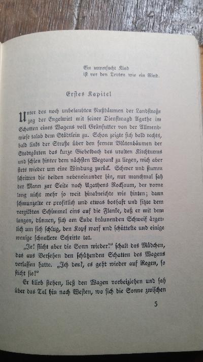 Der Engelwirt  Eine Schwabengeschichte - Front Cover