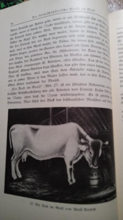 Die Wiedergeburt des Künstlerischen aus dem Volk  Ein Buch von der Kunst des Volkes und ihrer Bestätigung im Schaffen des Kindes als Beispiel praktischer Volkstumsarbeit - Front Cover
