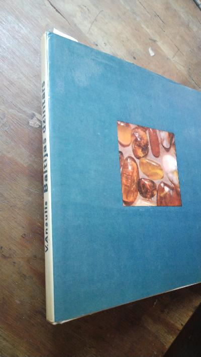 Baltijas dzintars (Baltischer Bernstein) - Front Cover