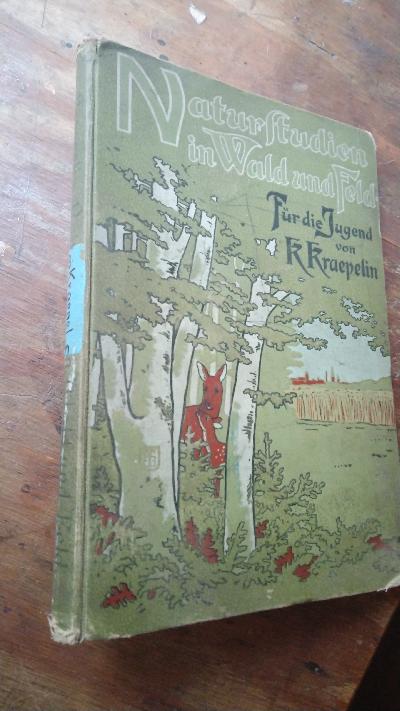 Naturstudien in Wald und Feld  Spaziergangs - Plaudereien - Front Cover