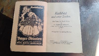 Karlsbad und seine Quellen Ein Führer für Kurbedürftige - Front Cover