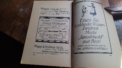 Karlsbad und seine Quellen Ein Führer für Kurbedürftige - Front Cover
