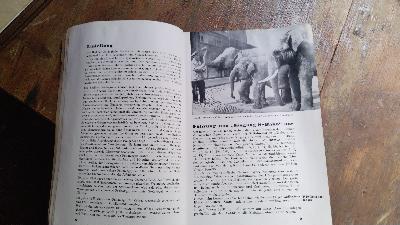 Wegweiser durch den zoologischen Garten Berlin - Front Cover