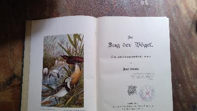 Der Zug der Vögel  Eine entwicklungsgeschichtliche Studie - Front Cover