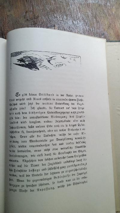 Der Zug der Vögel  Eine entwicklungsgeschichtliche Studie - Front Cover