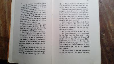 Das gefährliche Alter  Tagebuch - Aufzeichnungen und Briefe - Front Cover
