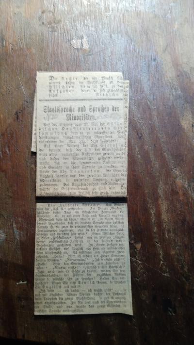 2 Zeitungsausschnitte  über Staatssprache und Sprachen der Minoritäten (in Estland 1919), Die baltische Sprache - Front Cover