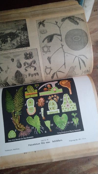 Schulwart - Katalog  Ein illustriertes Verzeichnis der besten Lehr- und Lernmittel.  Mit zahlreichen Illustrationen und bunten Beilagen. - Front Cover