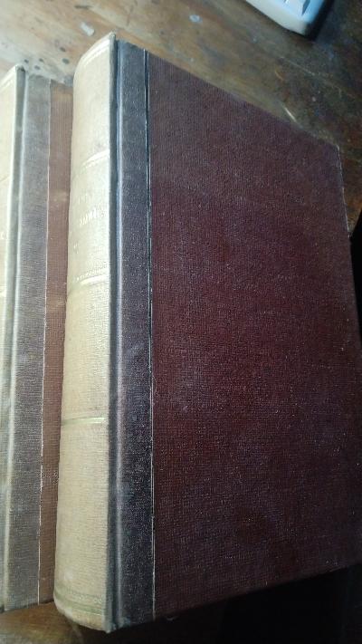 Der sinnreiche Junker Don Quixote von La Mancha  Aus dem Spanischen übersetzt;mit dem Leben von Miguel Cervantes nach Viardot und einer Einleitung von Heinrich Heine  2 Bände   - Front Cover