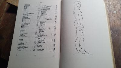 Dr. Zimpels Heilsystem  Handbuch der spagyrischen Heilkunst (Ars spagyrica Paracelsi) - Front Cover