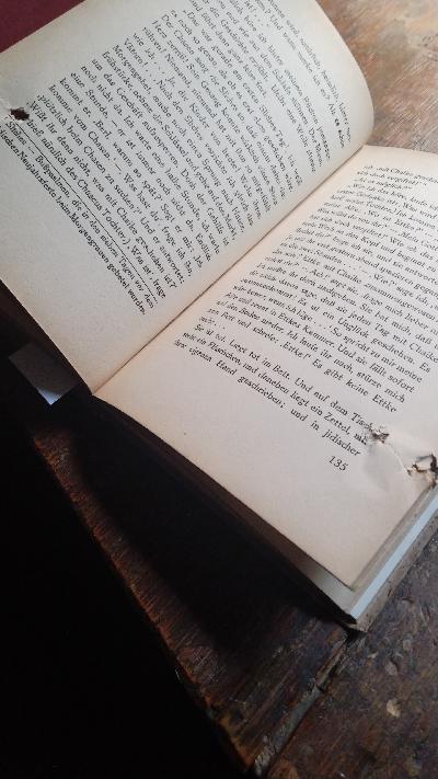 Ostjüdische Erzähler  J.-L. Perez/Scholem-Alejchem/Scholem Asch  Ausgewählt und aus dem Jiddischen übersetzt - Front Cover
