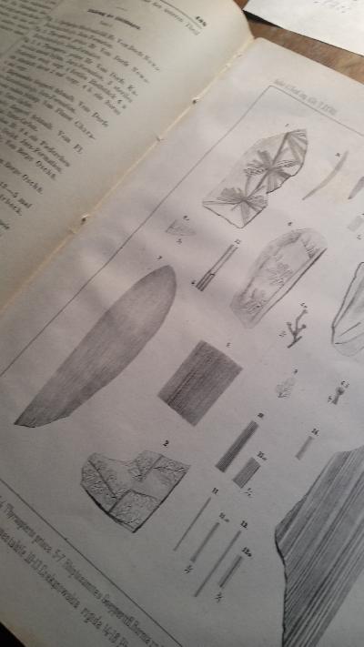 Bulletin de l academie imperiale des Scienes de St. Petersbourg Tome  28 - Front Cover