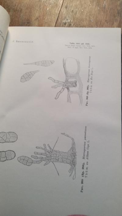 Bulletin of applied Botany  Nr. 8 - Front Cover