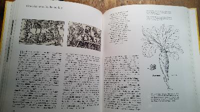 Bier  Jenseits von Hopfen und Malz  Von den Zaubertränken der Götter zu den psychedelischen Bieren der Zukunft  - Front Cover