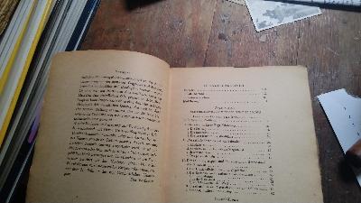 Der Menschengeist und das Sein  Eine Begegnung mit Nicolai Hartmann - Front Cover