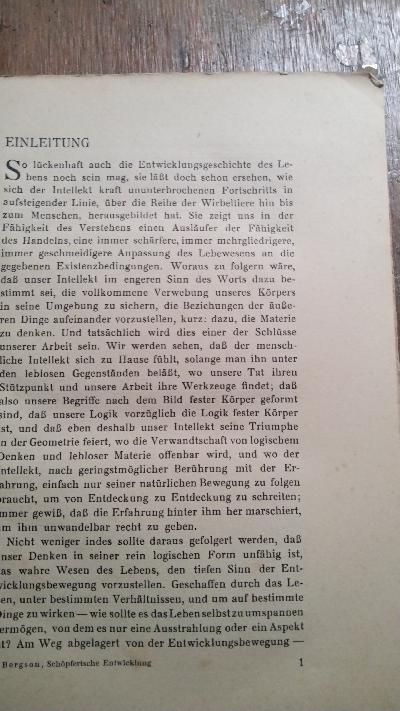 Schöpferische Entwicklung - Front Cover