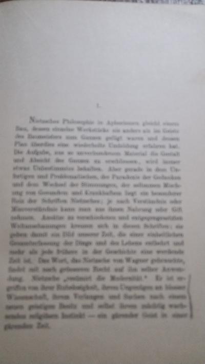 Friedrich Nietzsche Der Künstler und der Denker - Front Cover