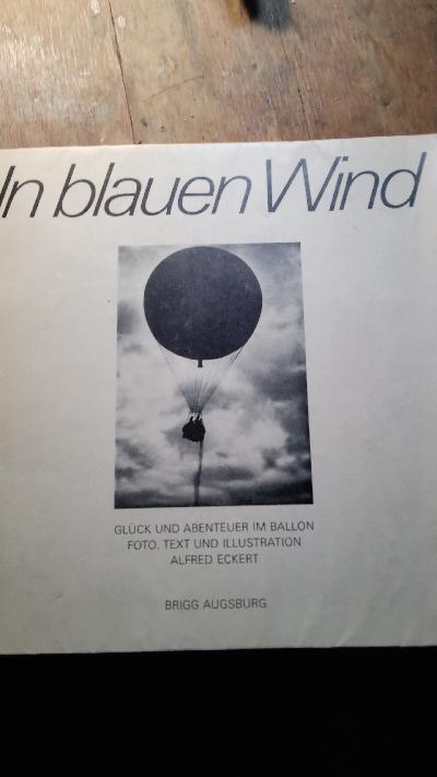 In blauen Wind  Glück und Abenteuer im Ballon - Front Cover