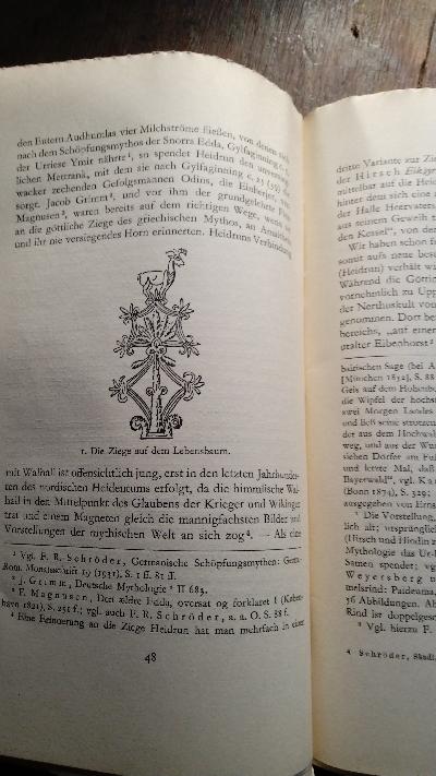 Skadi und die Götter Skandinaviens - Front Cover