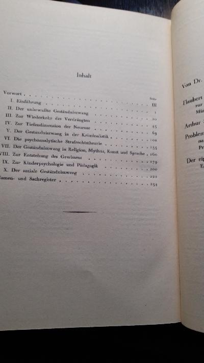 Geständniszwang und Strafbedürfnis - Front Cover