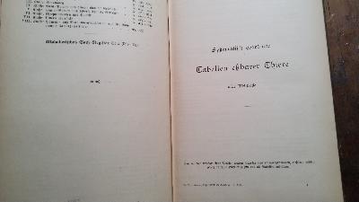 Internationales Koch-Lehrbuch für Haushaltungen aller Stände. Zur Benützung beim Ertheilen von Unterricht sowie zum Selbststudium, desgleichen zur Orientirung für Aerzte usw. - Front Cover