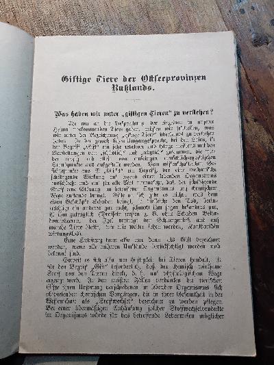 Giftige+Tiere+der+Ostseeprovinzen